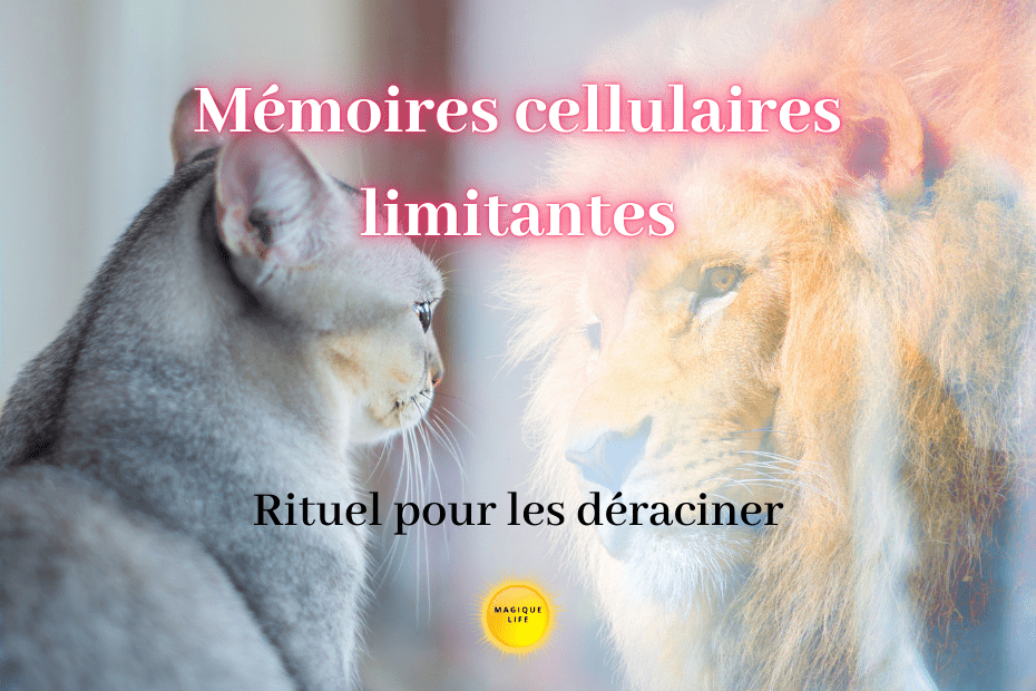 Mémoires cellulaires limitantes : Rituel pour les déraciner